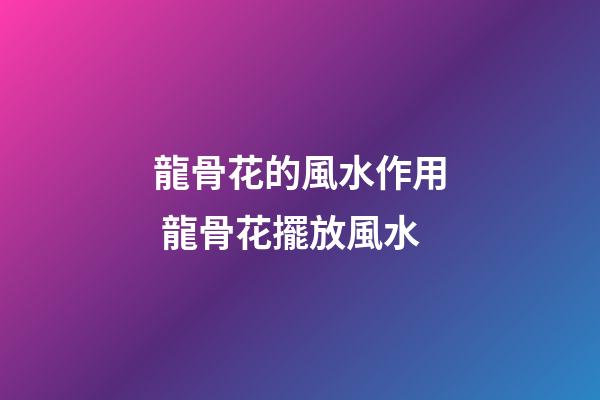 龍骨花的風水作用 龍骨花擺放風水